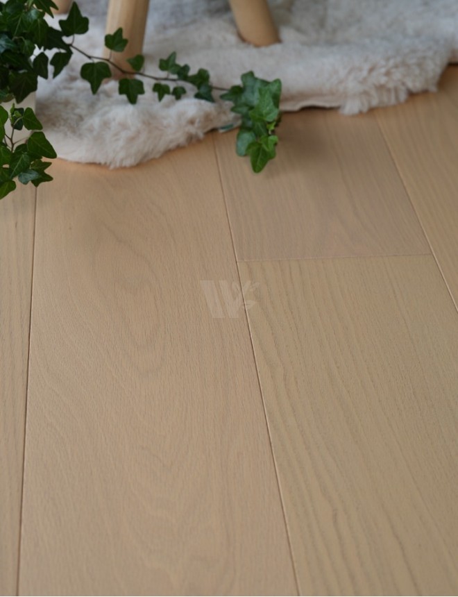 7½" Cotton Mellow Oak ECA6 7½" Cotton Mellow Oak ECA6