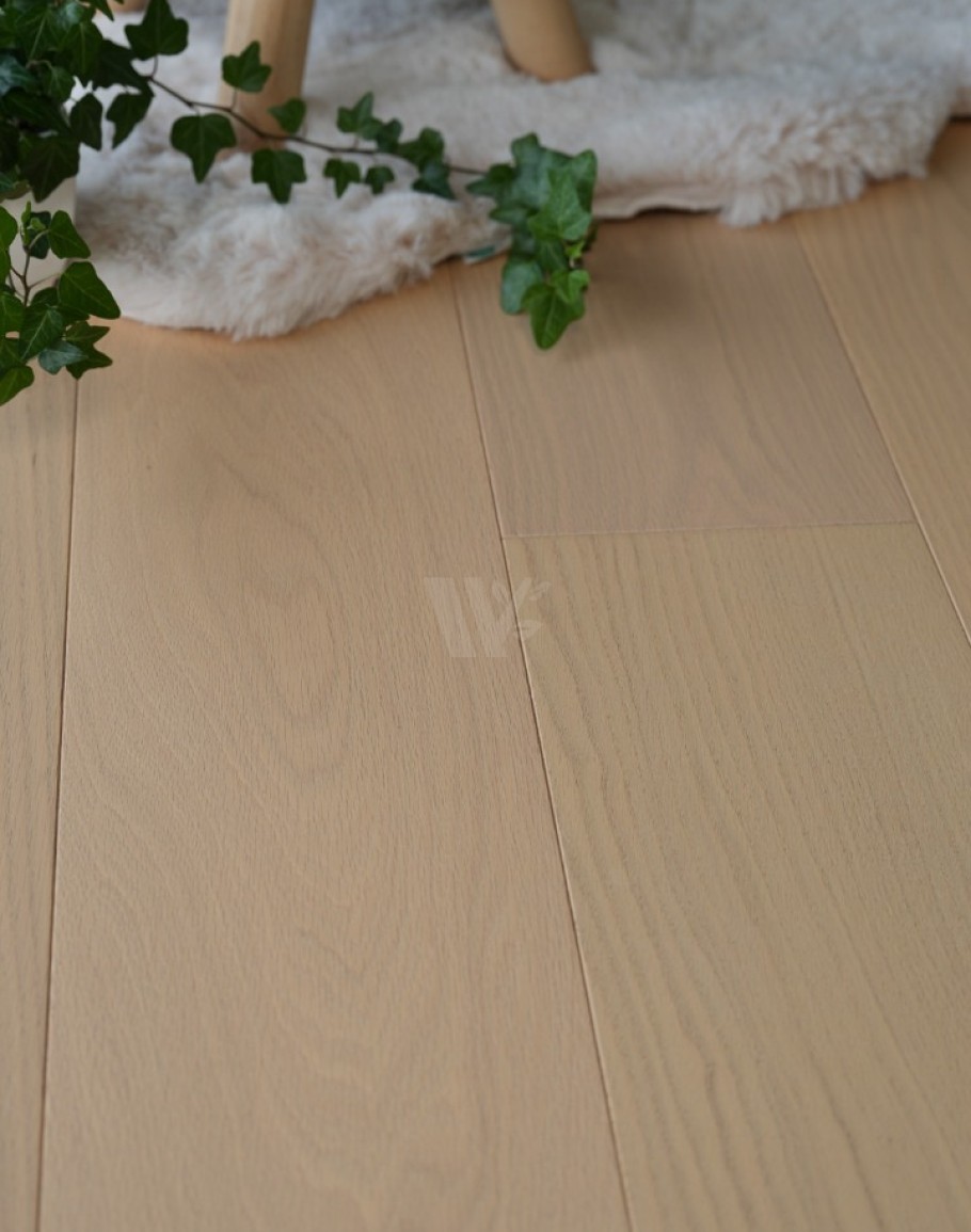 7½" Cotton Mellow Oak ECA6 7½" Cotton Mellow Oak ECA6