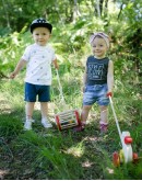 25" Push Along Puppy