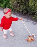 25" Push Along Puppy